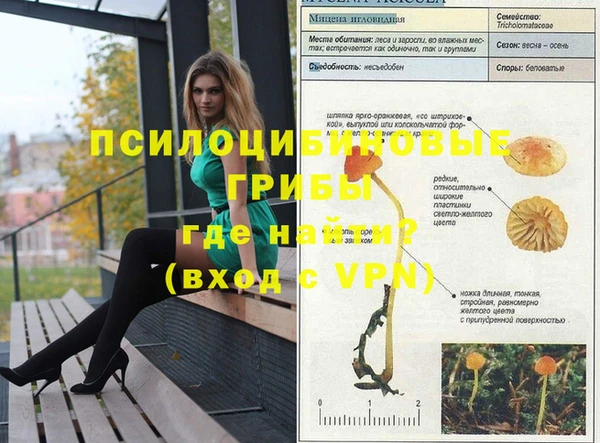 мяу мяу мука Богданович